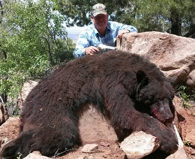 Black Bear Hunts in Utah