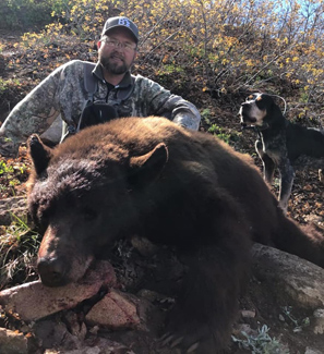 Black Bear Hunts in Utah