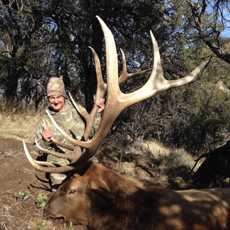 Elk Hunt Utah