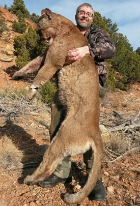 Mountain Lion Hunt Utah