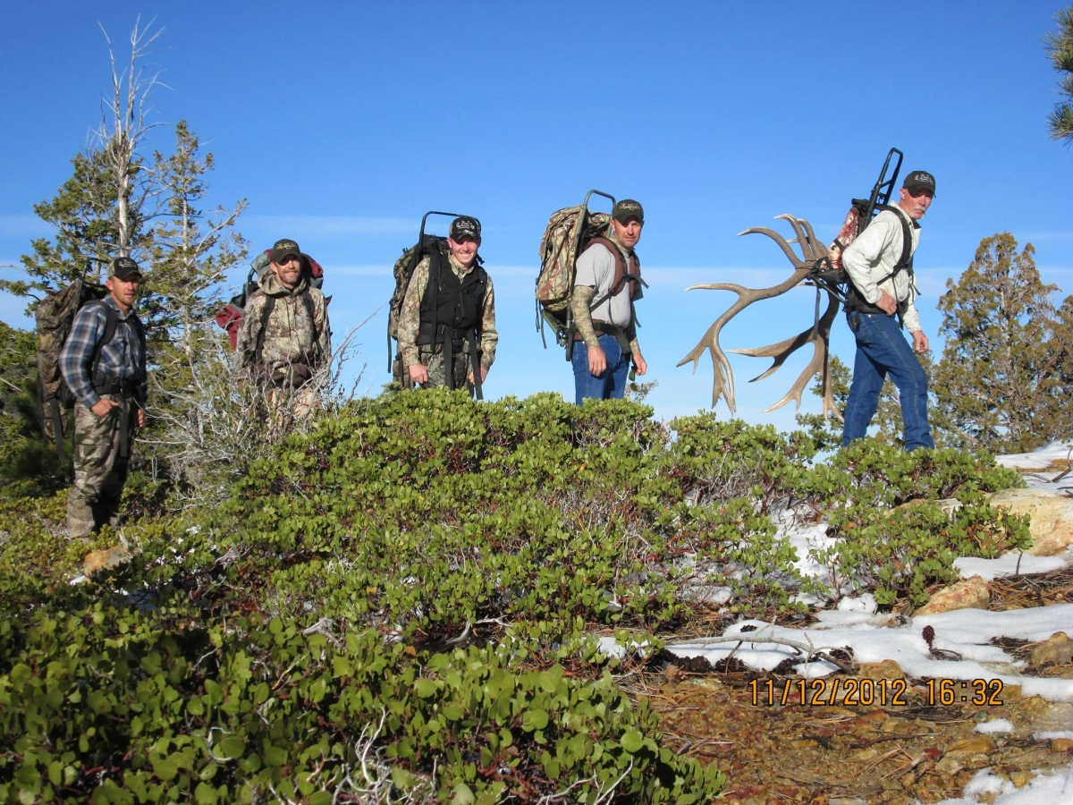 Utah Elk Hunts