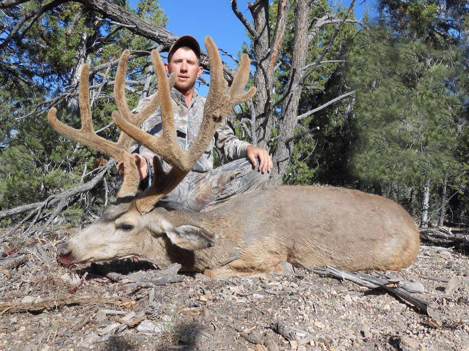 Utah Mule Deer Hunts