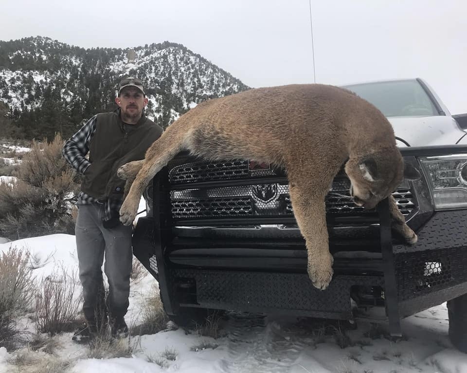 Utah Mountain Lion Hunts